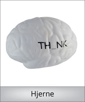 Stress hjerne lille